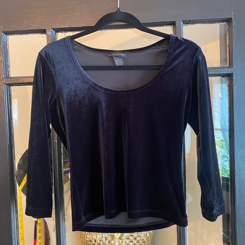 The Limited Black Velvet Top